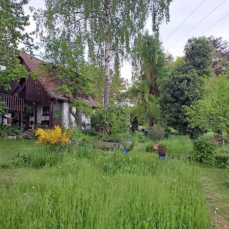 Vogelnest Apartment