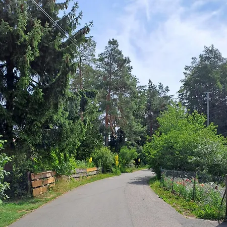 Vogelnest * Betzenstein